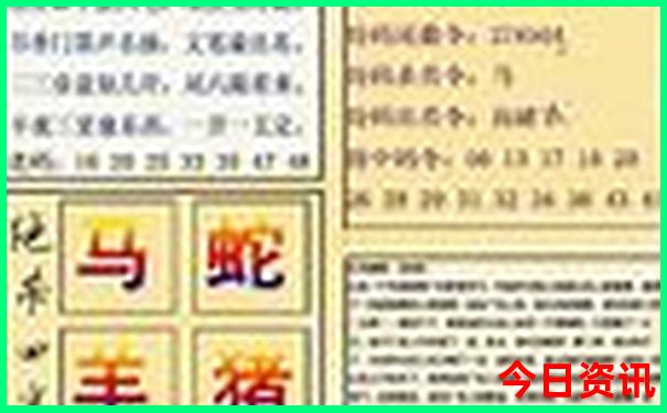 老虎的六6合是什么生肖